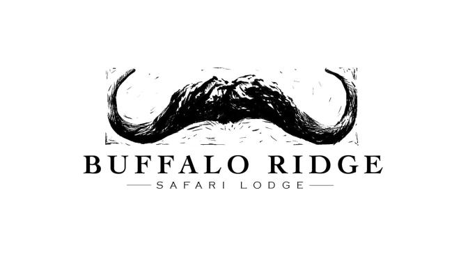 Lodge of the Week: Buffalo Ridge Safari Lodge